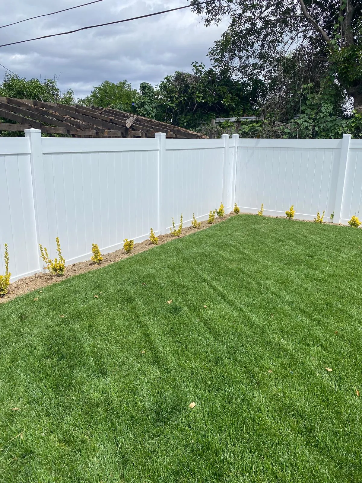 White fence with green lawn